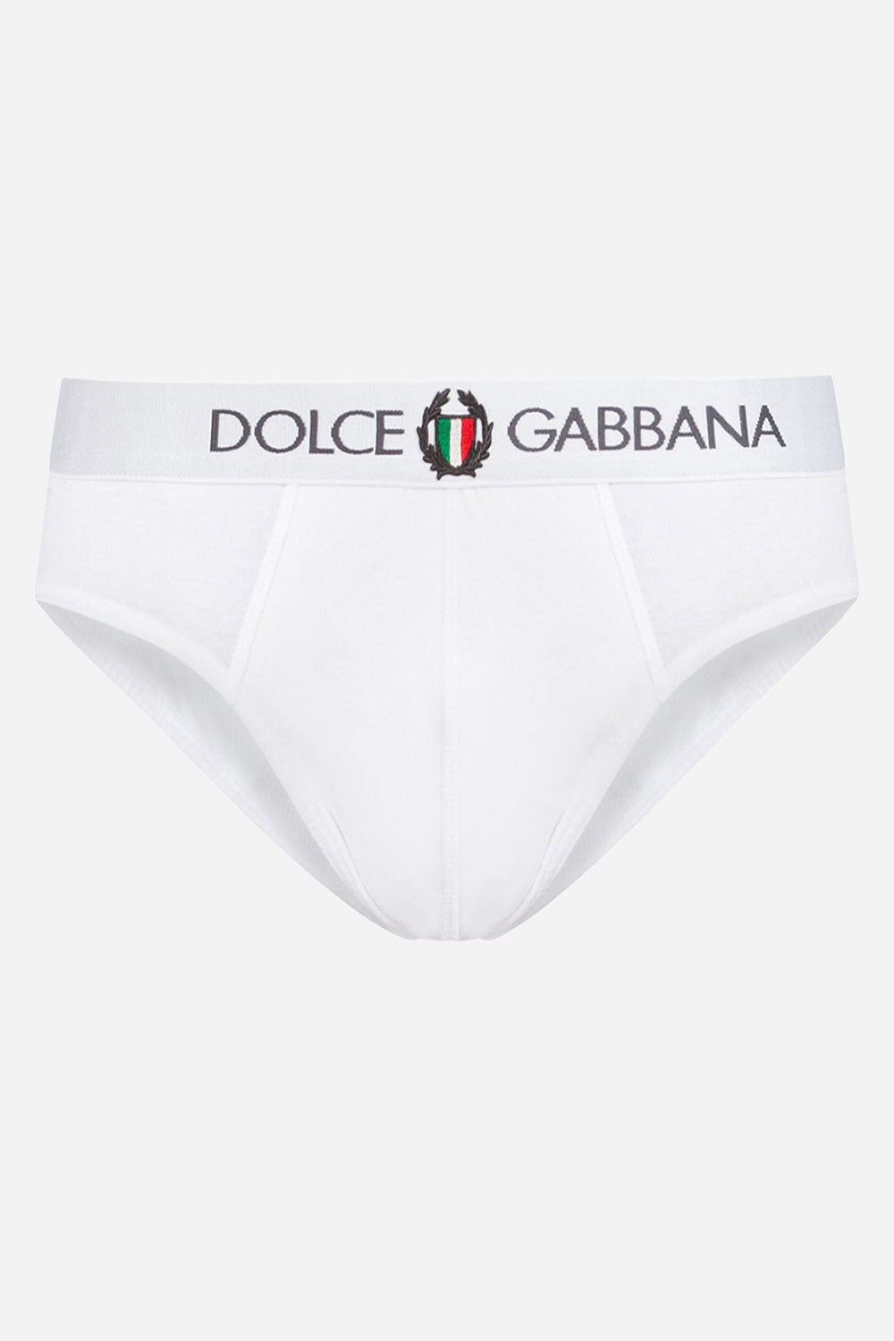 DOLCE & GABBANA Logo Embroidered Briefs