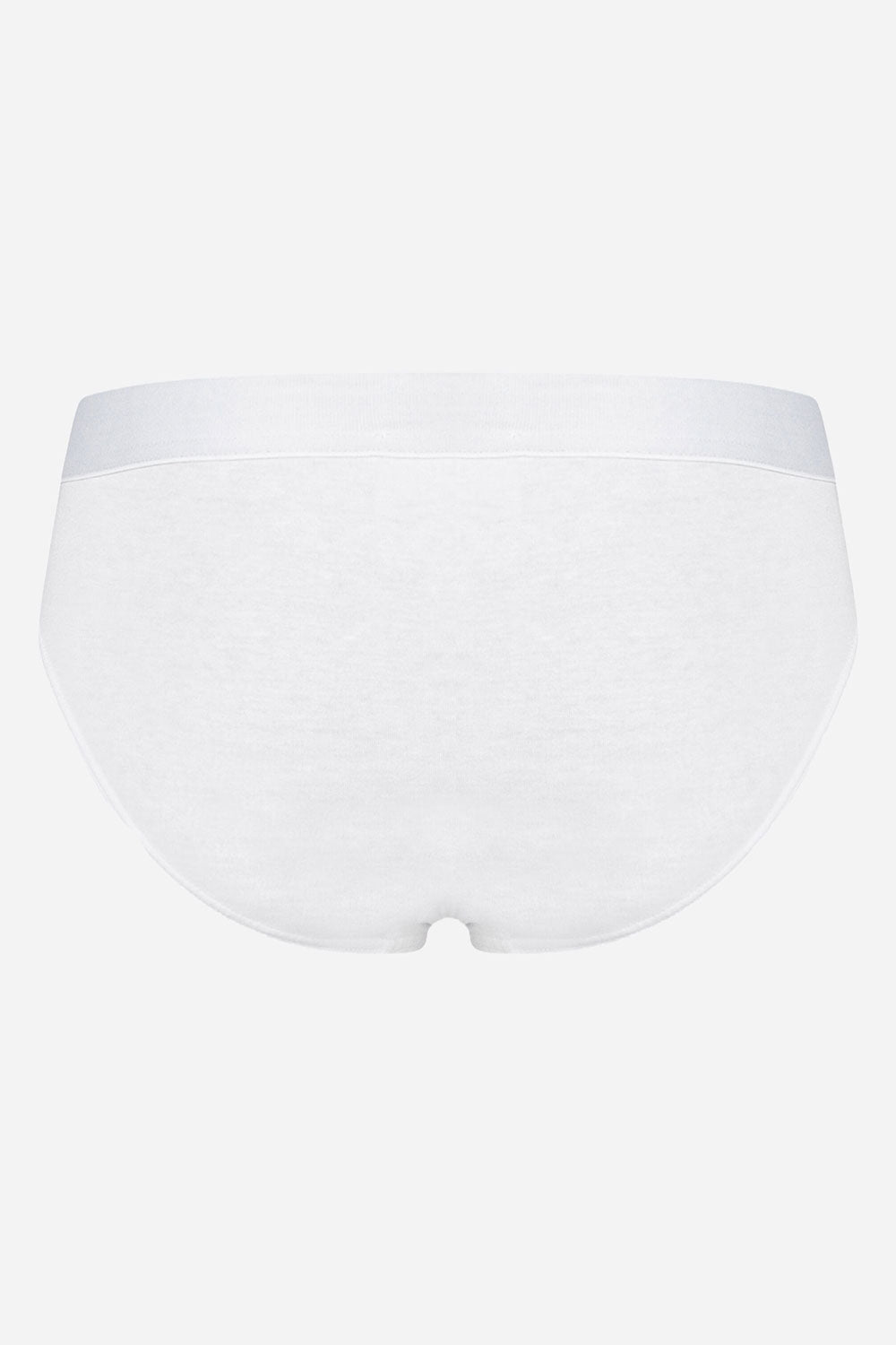 DOLCE & GABBANA Logo Embroidered Briefs